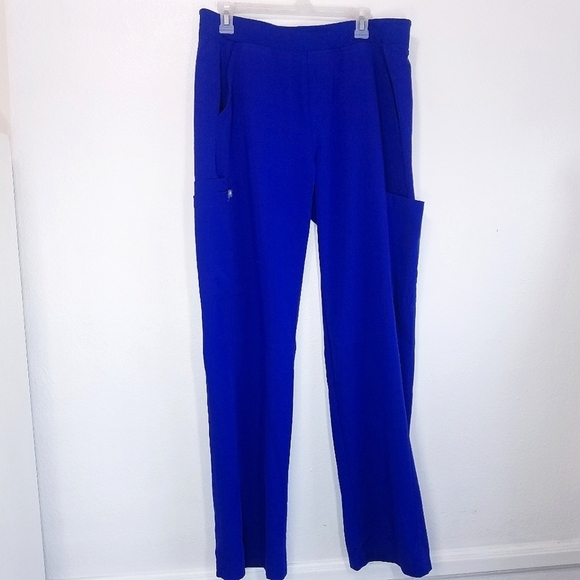 🌸 FIGS | Pants , Blue‎ size Large - Picture 1 of 11